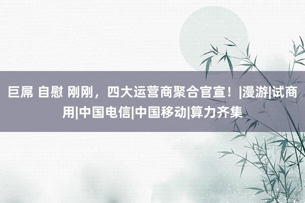巨屌 自慰 刚刚，四大运营商聚合官宣！|漫游|试商用|中国电信|中国移动|算力齐集