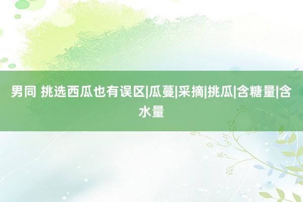 男同 挑选西瓜也有误区|瓜蔓|采摘|挑瓜|含糖量|含水量