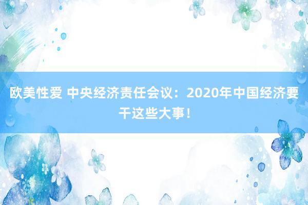 欧美性爱 中央经济责任会议：2020年中国经济要干这些大事！