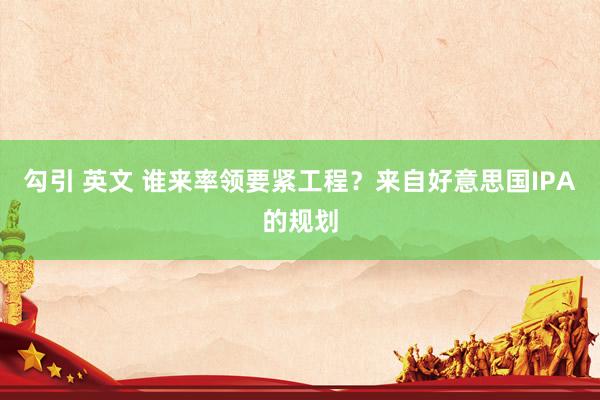 勾引 英文 谁来率领要紧工程？来自好意思国IPA的规划
