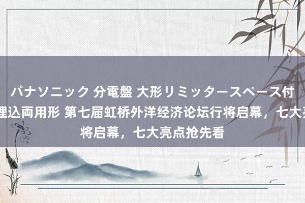 パナソニック 分電盤 大形リミッタースペース付 露出・半埋込両用形 第七届虹桥外洋经济论坛行将启幕，七大亮点抢先看