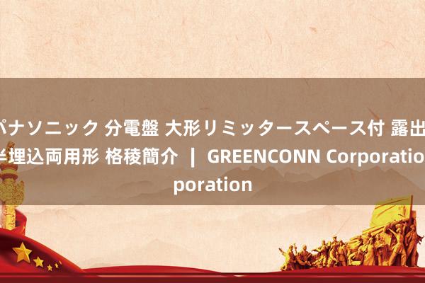 パナソニック 分電盤 大形リミッタースペース付 露出・半埋込両用形 格稜簡介 ∣ GREENCONN Corporation