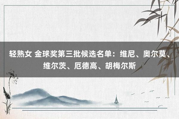 轻熟女 金球奖第三批候选名单：维尼、奥尔莫、维尔茨、厄德高、胡梅尔斯